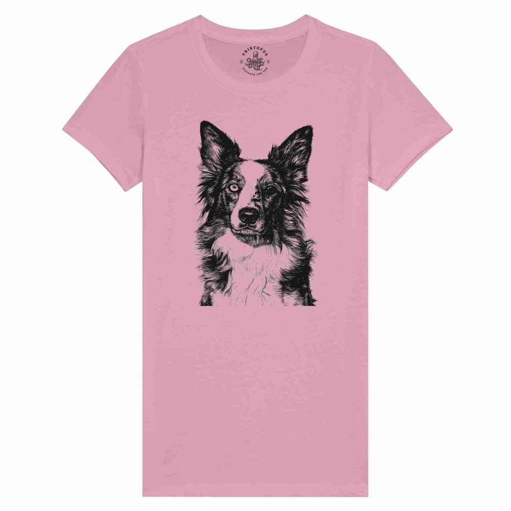 Border Collie Encantador