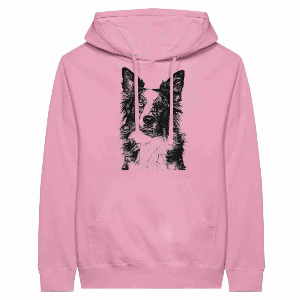 Border Collie Encantador