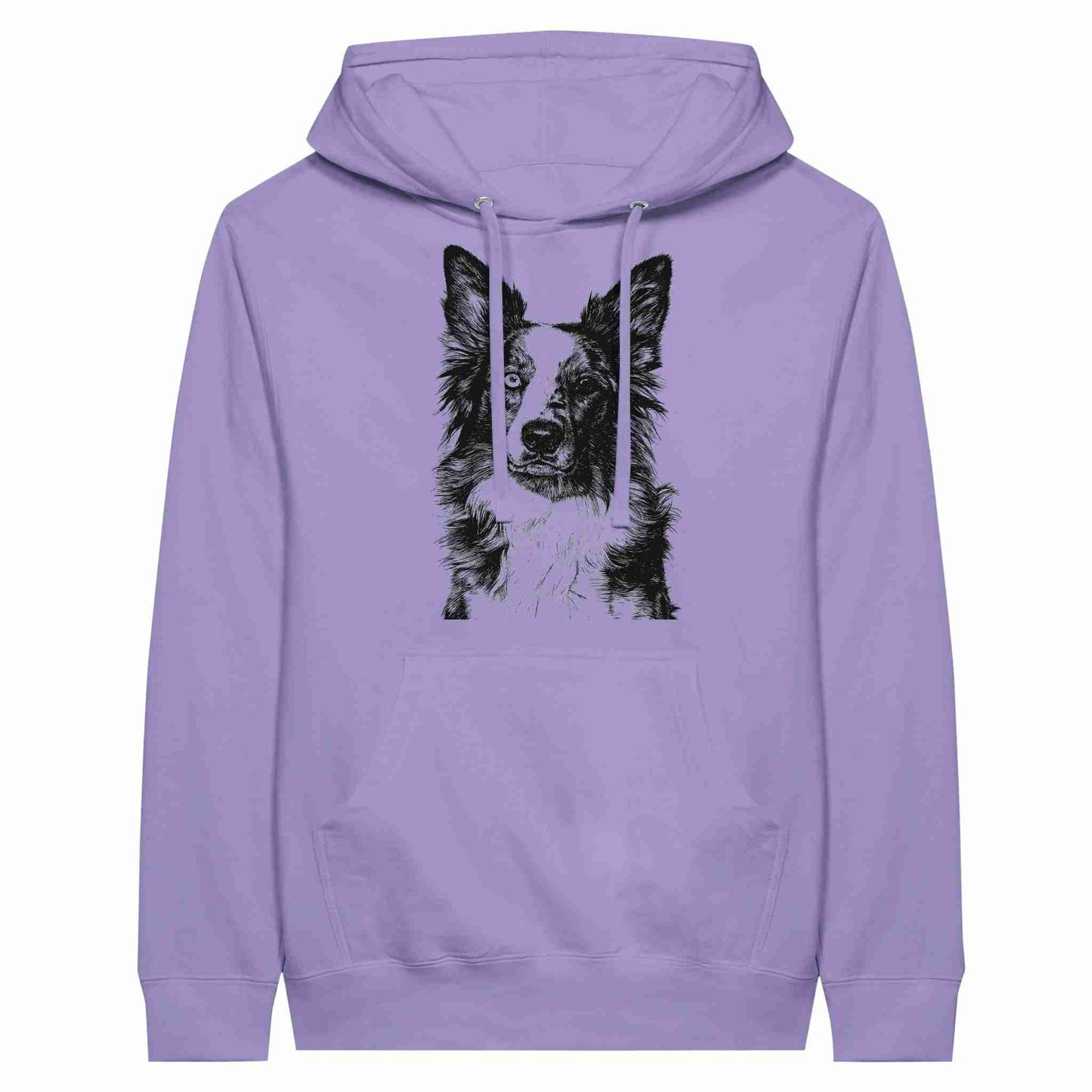 Border Collie Encantador