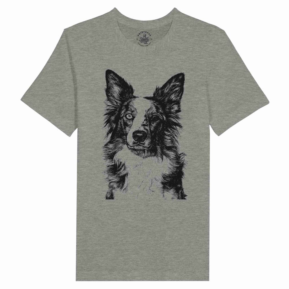 Border Collie Encantador