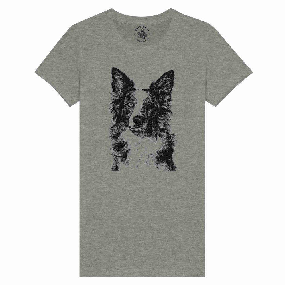 Border Collie Encantador