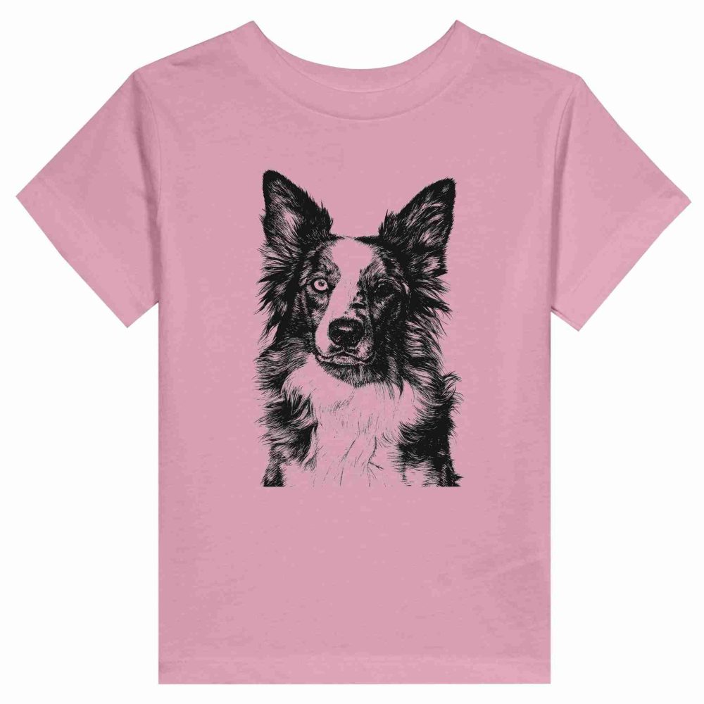 Border Collie Encantador