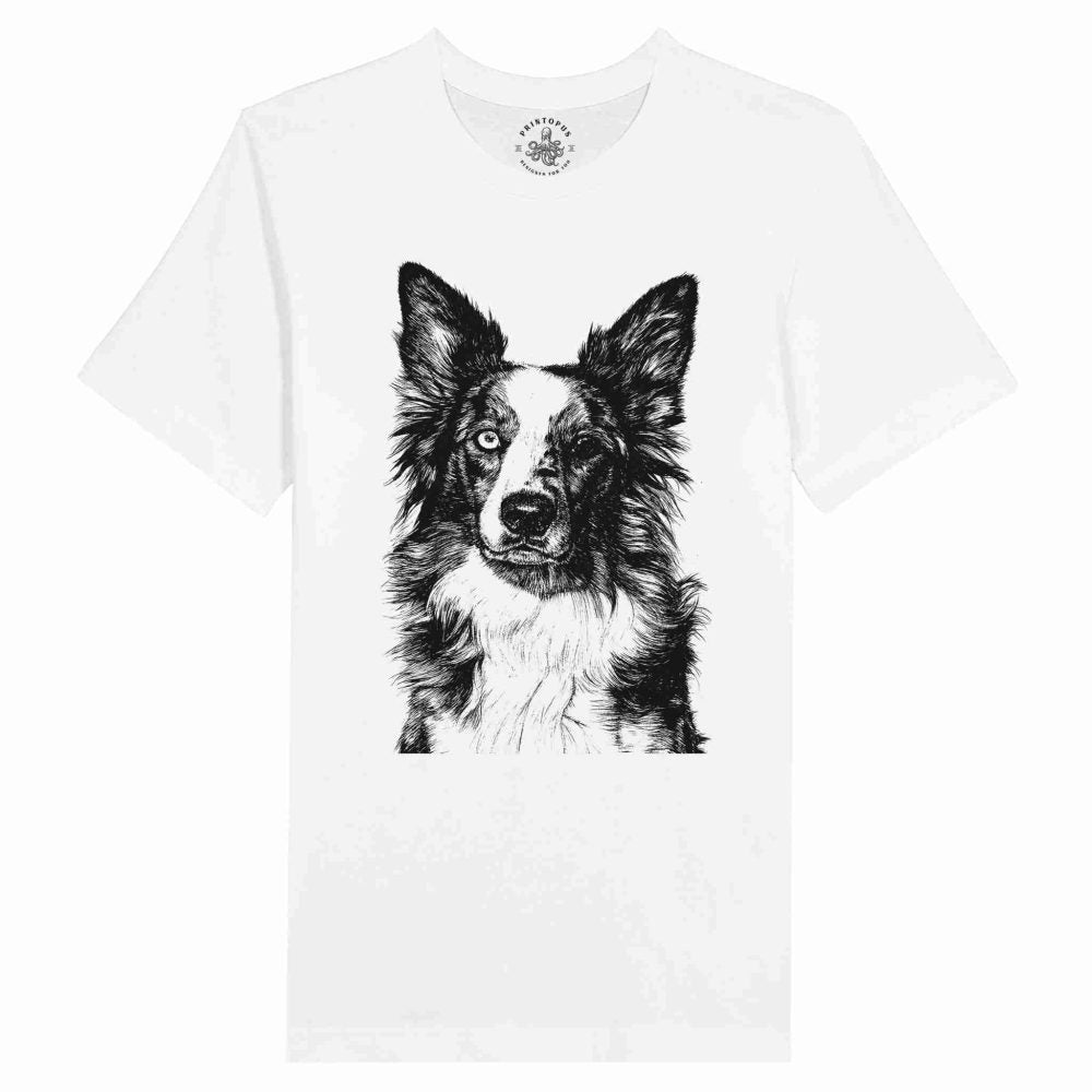 Border Collie Encantador