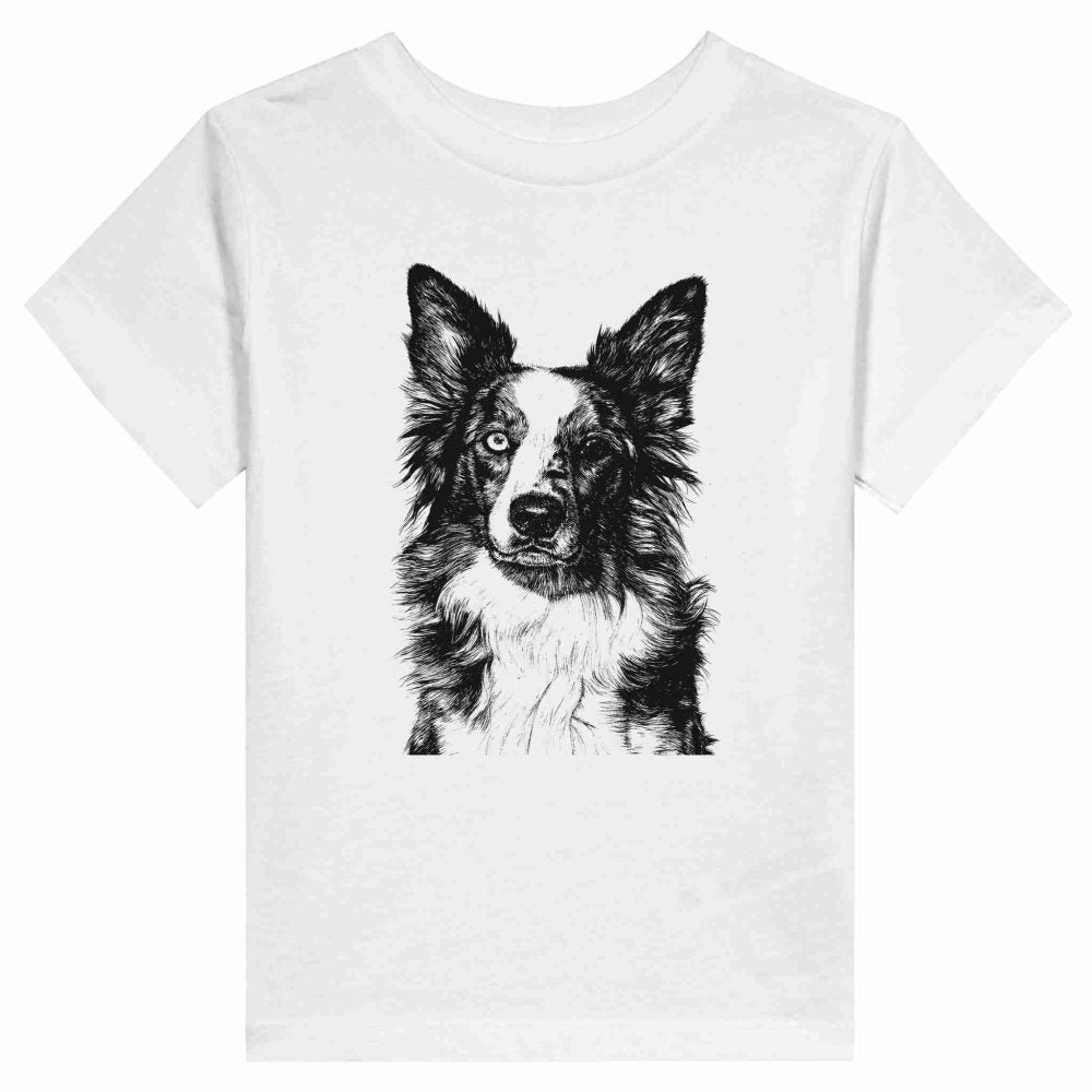Border Collie Encantador