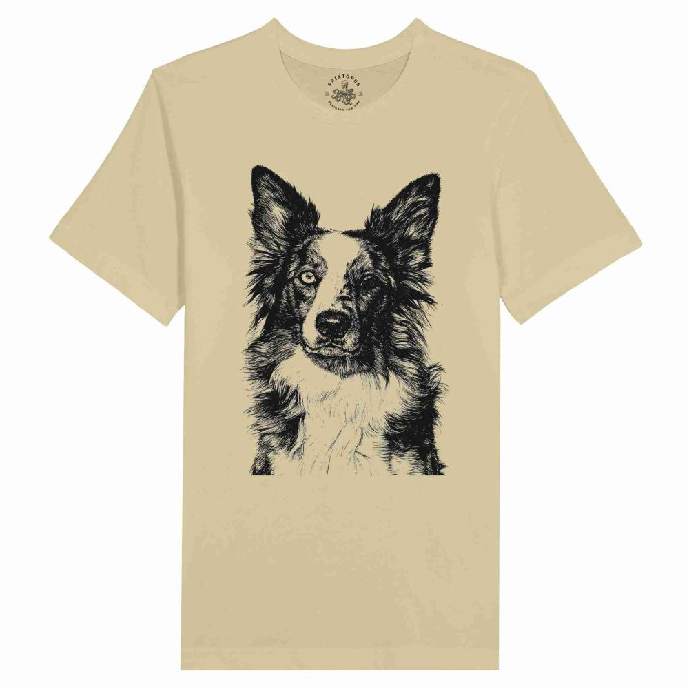 Border Collie Encantador