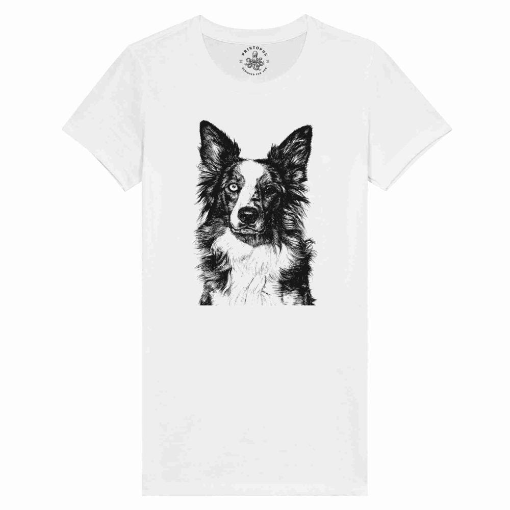 Border Collie Encantador