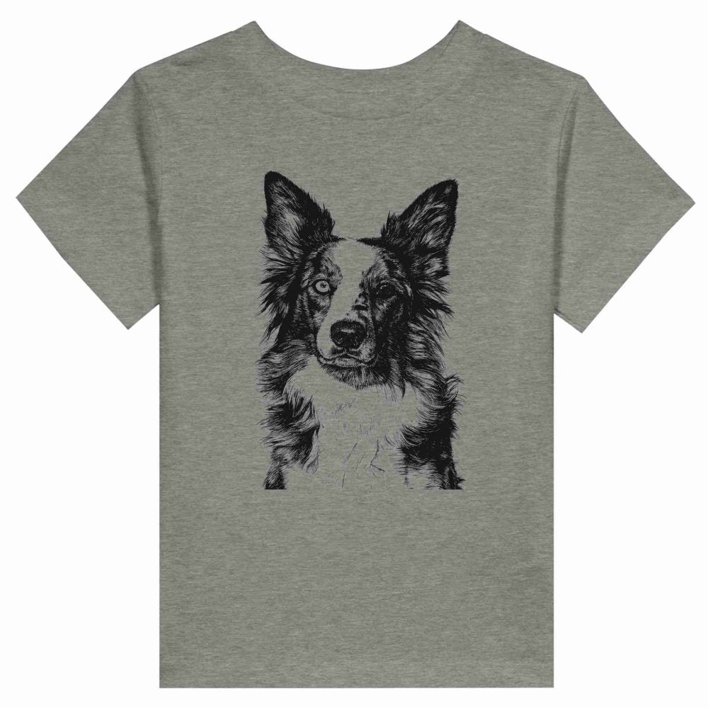 Border Collie Encantador