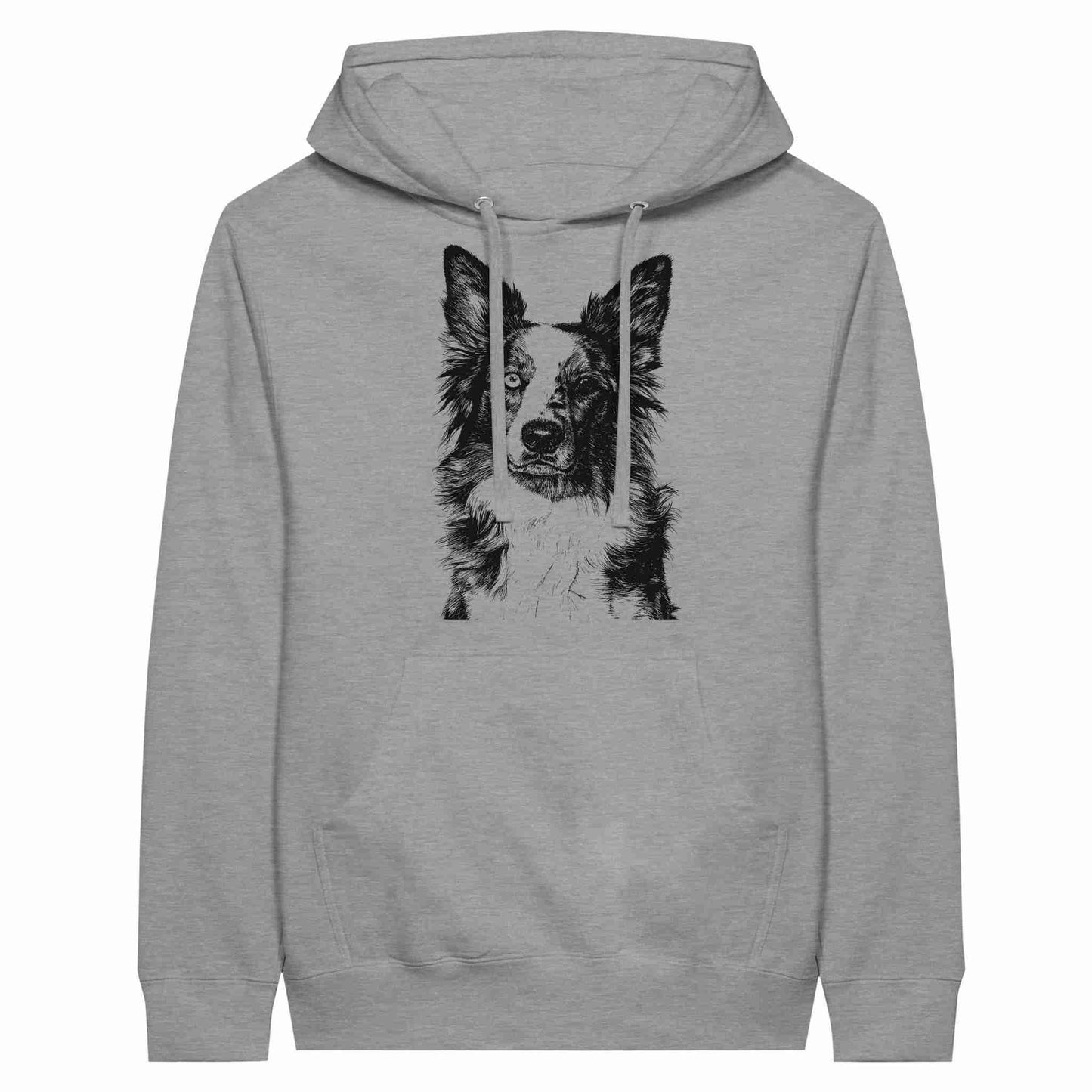 Border Collie Encantador