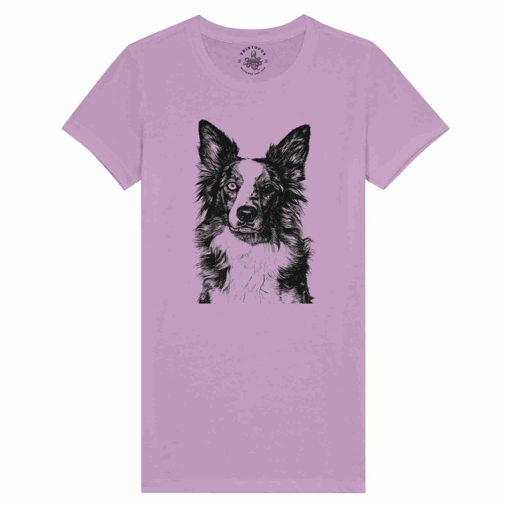 Border Collie Encantador